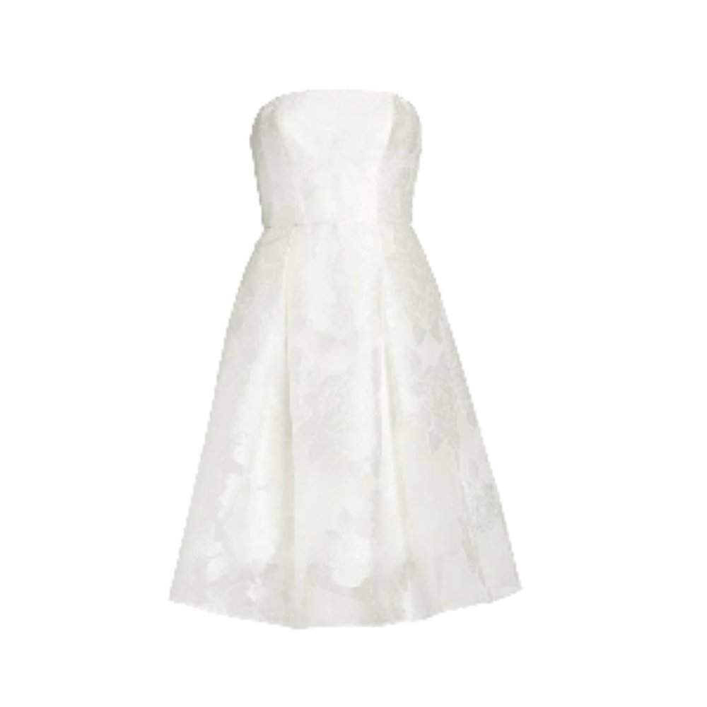 Amsale Rose Fil Coupe Fit-&-Flare Dress Ivory 10 NWT